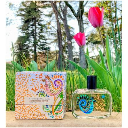 Jasmin Perle de Thé-فراگونارد جاسمین پرل دی ته