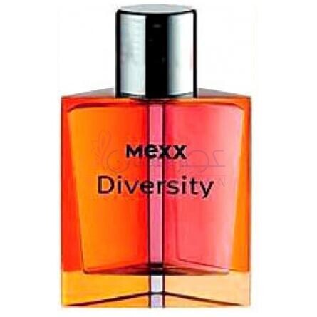 Diversity-مکس دیورسیتی