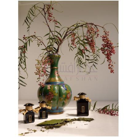 Ilex-کالتوس آرتم ایلکس