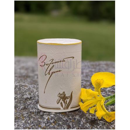 Golden iris – Золотой ирис-علی پاروسا گلدن ایریس