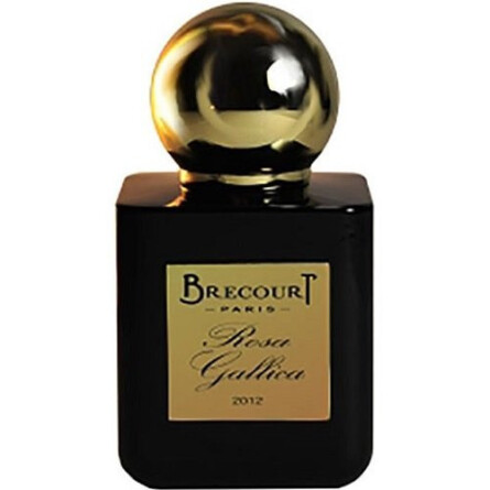 Rosa Gallica-برکورت رز گالیکا