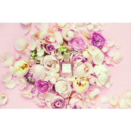 A La Rose-میسون فرانسیس کورکجان الا رز