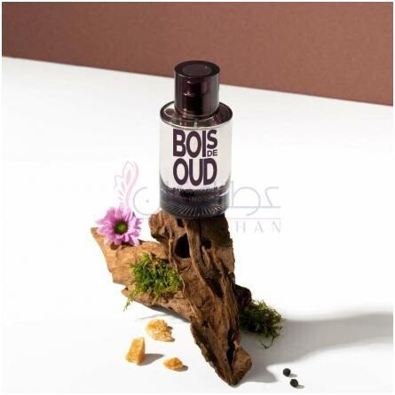 Santal-سولینوتس سانتال