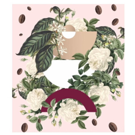 Rose Ebène-کارون رز ابن