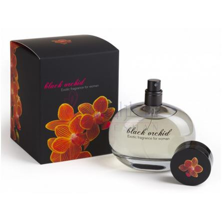 Black Orchid-بچس بلک ارکید