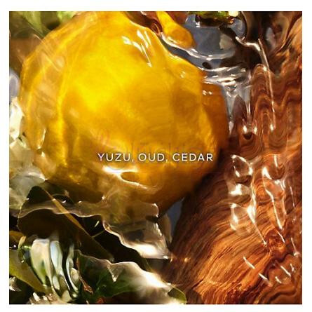 Aqua Allegoria Forte Oud Yuzu-گرلن اکوا الگوریا فورت عود یوزو