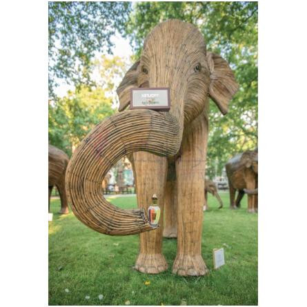 CoExistence-زرجوف کوئکسیستنس