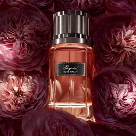 chopard rose malaki