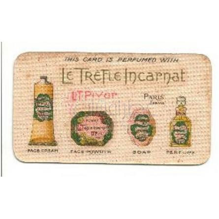 Trèfle Incarnat-ال تی پایور تریفل اینکارنت