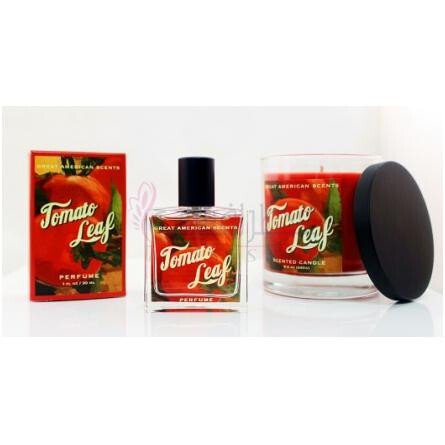 Tomato Leaf-گریت امریکن سنتس تومیتو لیف