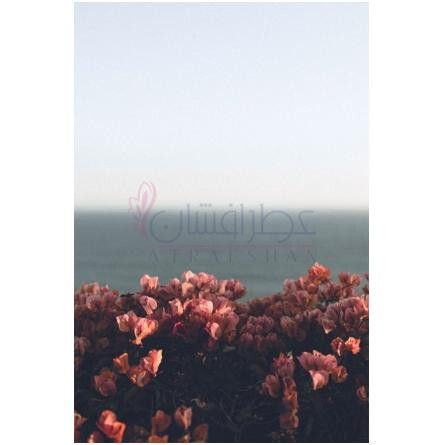 Mother x Love-میسون دی لاسی مادر ایکس لاو