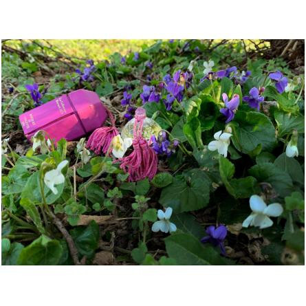 Bouquet di Violette-بورساری بوکت دی ویولت