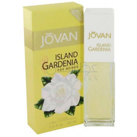 Island Gardenia-جووان ایسلند گاردنیا