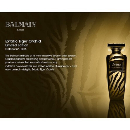 Extatic Tiger Orchid-پیر بالمین اکستاتیک تاگر ارکید