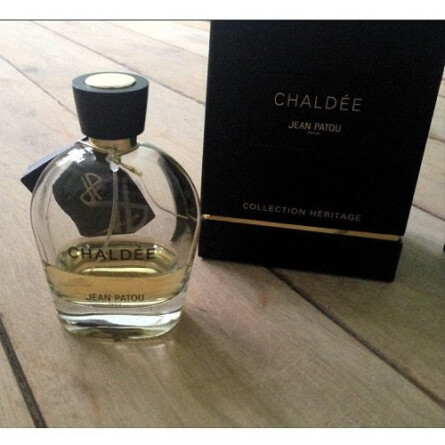 Chaldee-ژان پاتو چالدی