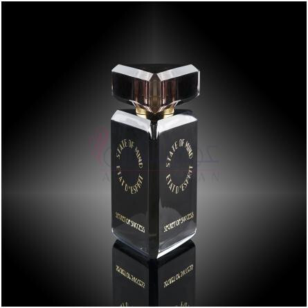 Secret of Success-استیت اف مایند سکرت اف سکسز