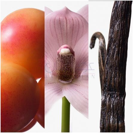 Euphoria Eau de Toilette (2023)-کالوین کلین ایفوریا ادوتویلت 2023