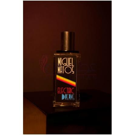 Electric Dreams-میگل ماتوس الکتریک دریمز