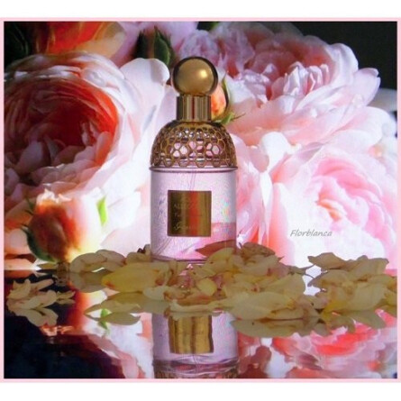 Aqua Allegoria Flora Rosa-گرلن آکوا آلگوریا فلورا رزا