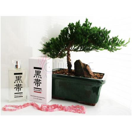 Black Belt Woman-بلک بلت فرگرنسز بلک بلت وومن