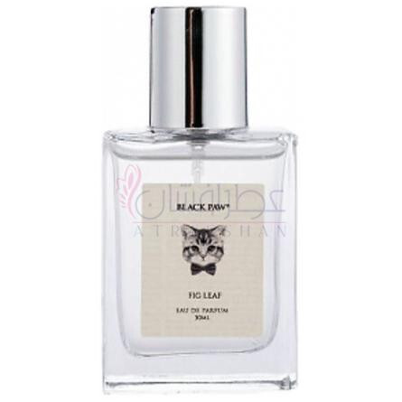 Fig Leaf-بلک پاو فیگ لیف