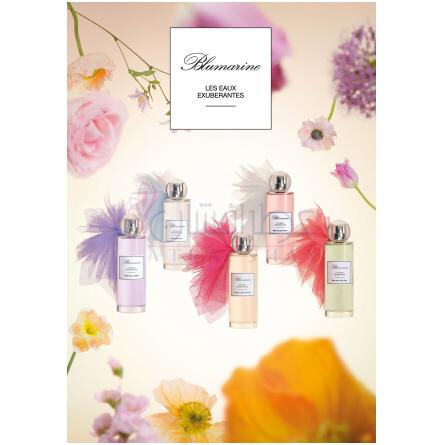 Shine Like A Night-بلومارین شاین لایک ا نایت