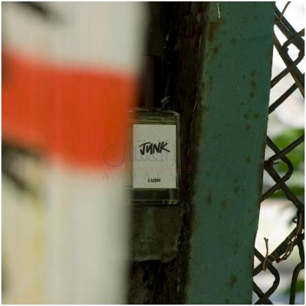 Junk-لاش جانک