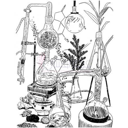 Gincense-اولیور اند کو جینسنس