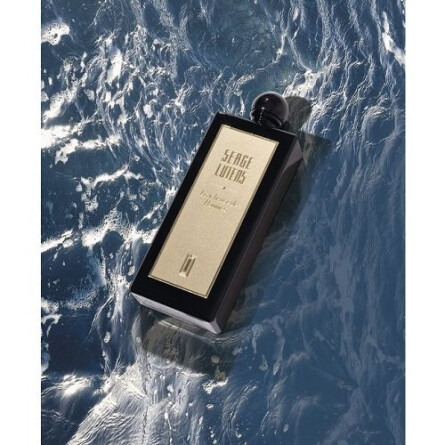 Renard Constrictor-سرج لوتنس رنارد کونستریکتر