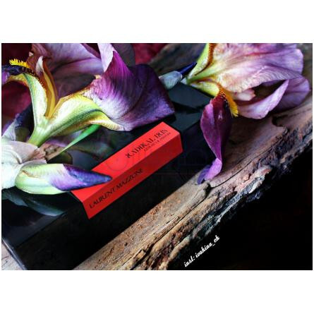 Radikal Iris-لارن مزون رادیکال ایریس