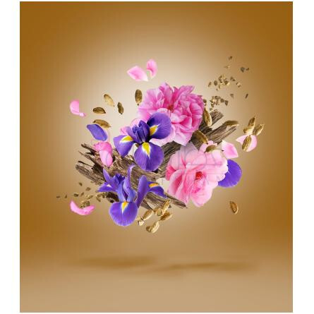 Alexandria II Anniversary-زرجوف الکساندریا 2 انیورساری