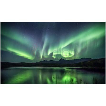 Dancing Light-الفکتیو استودیو دنسینگ لایت