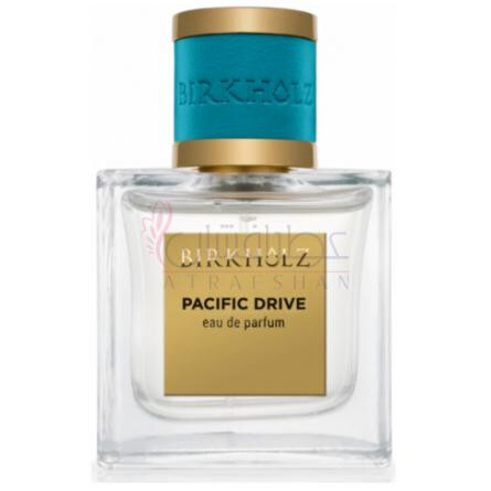 Pacific Drive-بیرخولز پسیفیک درایو