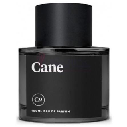 Cane-کامودیتی کین