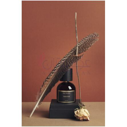 Varanasi-میو فیشونی ورانسی