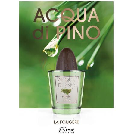 Acqua di Pino Fougere-پینو سیلوستره آکوا دی پینو فوژه