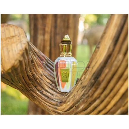 CoExistence-زرجوف کوئکسیستنس