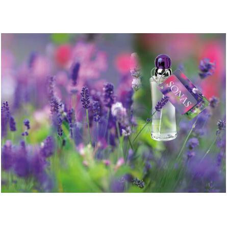 Sonas-فرگرنسز اف ایرلند سوناس