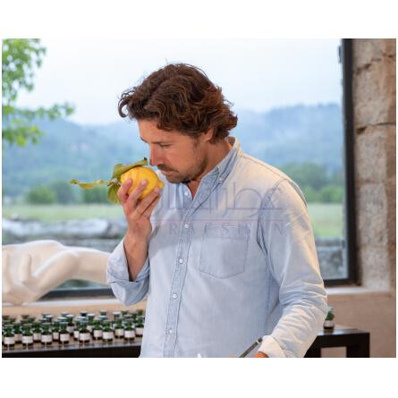 Bois d'Ebene-متیر پریمیر بوا د ابنه