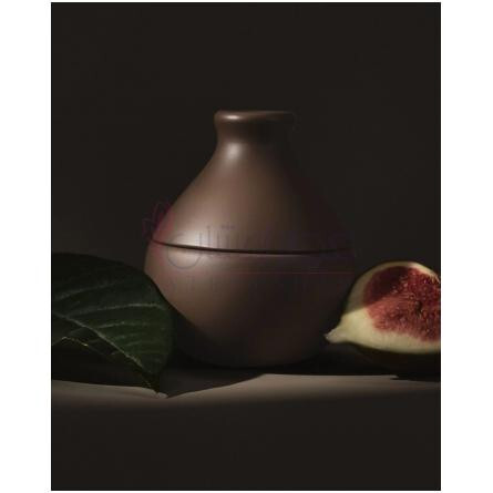 Rare Fig-کی کی دبلیو فرگرنس ریر فیگ