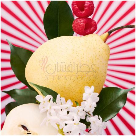 Fairy Love-اسکادا فیری لاو