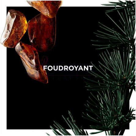 Foudroyant-جیونچی فودرویانت