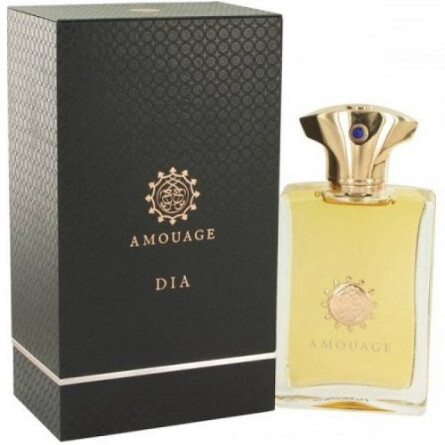 AMOUAGE Dia pour Homme