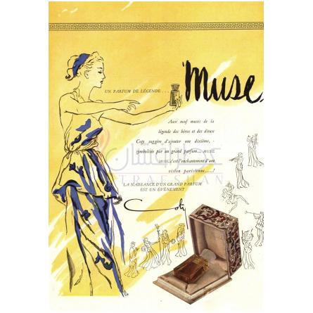 Muse-کوتی میوز