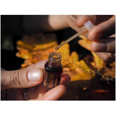 Spanish Sandalwood-سوییس عربین اسپنیش صندل وود