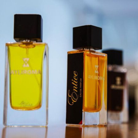Entice-آیلی انتایس