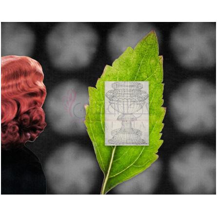 Patchoulilight-هرمتیکا پچولی لایت