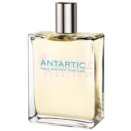 Antartic Reedition 2008-ایو روشه انتارتیک ردیشن 2008