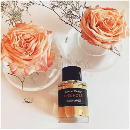 Une Rose-فردریک مال این رز
