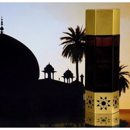 Arabian Nights Private Collection for Women-عربیان نایت پرایوت کالکشن  زنانه